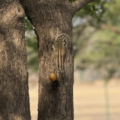 Nourishing hope and turning hunger into fulfillment...